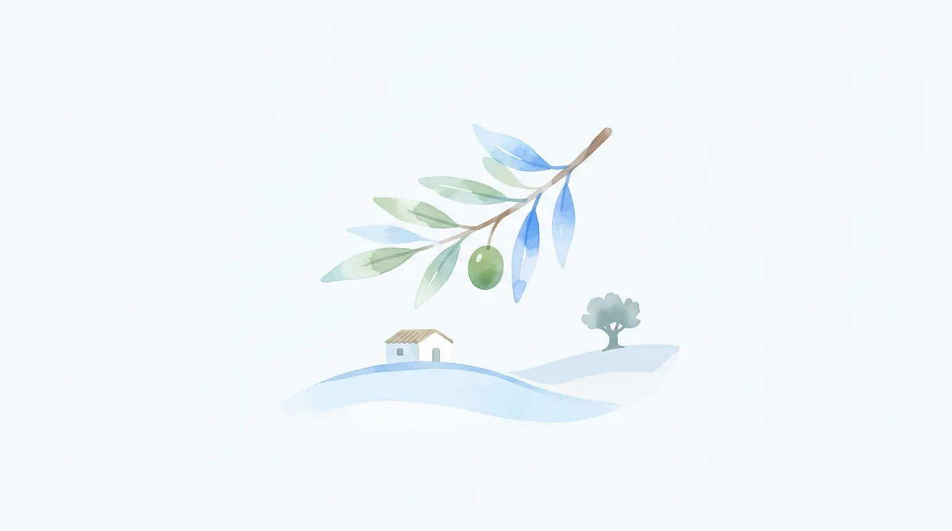 스페인 직구 안내 5